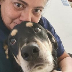 Why is rescuing a dog so important?