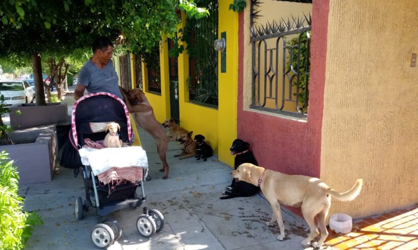 Don Abraham, well known Esterito resident passes away leaving 8 dogs homeless