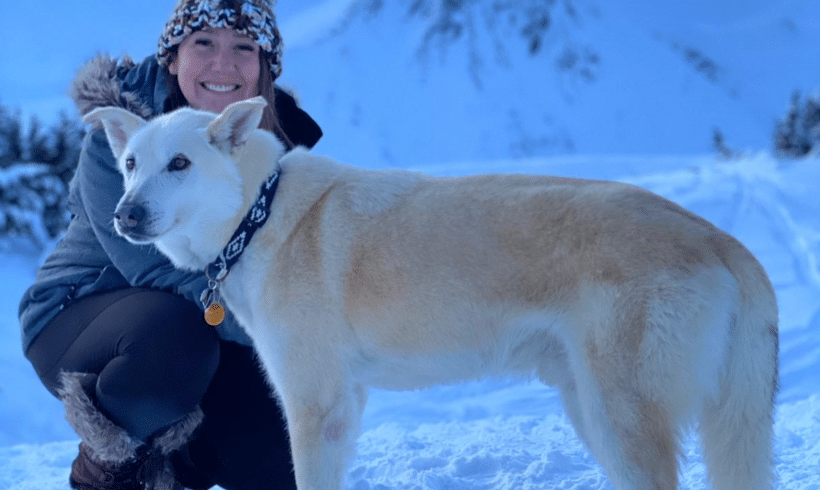 Microchip Reunites Lost Dog with His Owner