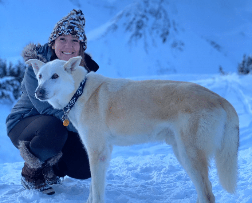 Microchip Reunites Lost Dog with His Owner