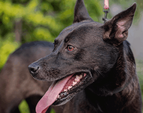 Tassa: As sweet as she is beautiful!