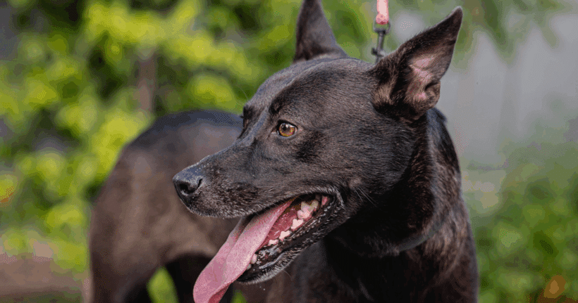 Tassa: As sweet as she is beautiful!