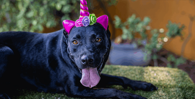 Roma: Dulce, tímida, y lista para amar! Roma: Sweet, shy, and ready to love!