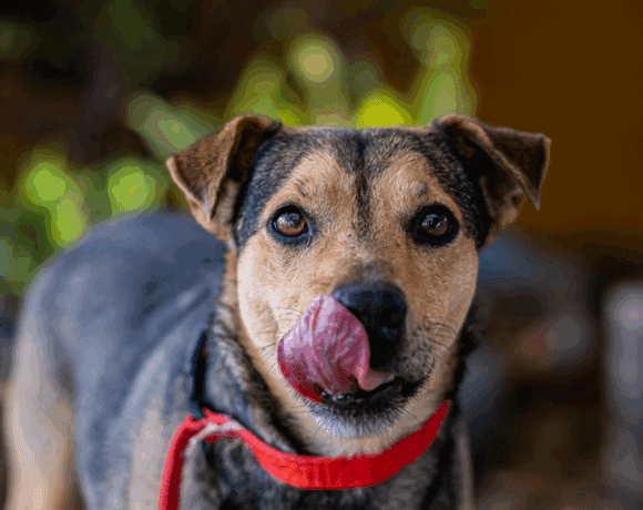Papi – Quiet, kinda shy but big love in my heart
