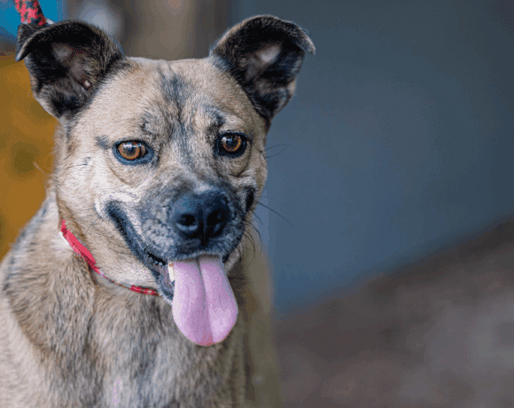 Gigi: I’m an adventurous lass!