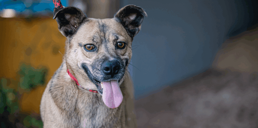 Gigi: I’m an adventurous lass! Gigi: I’m an adventurous lass!