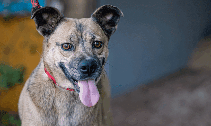 Gigi: I’m an adventurous lass!